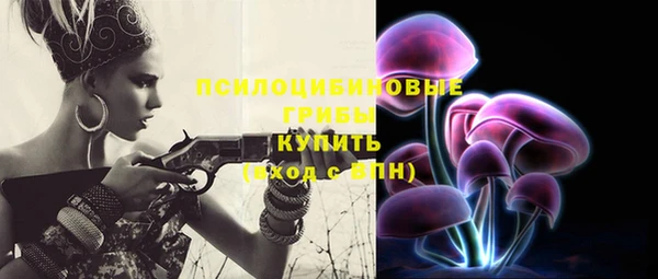 jwh Белокуриха