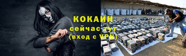 jwh Белокуриха