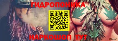 прущие крисы Боровичи