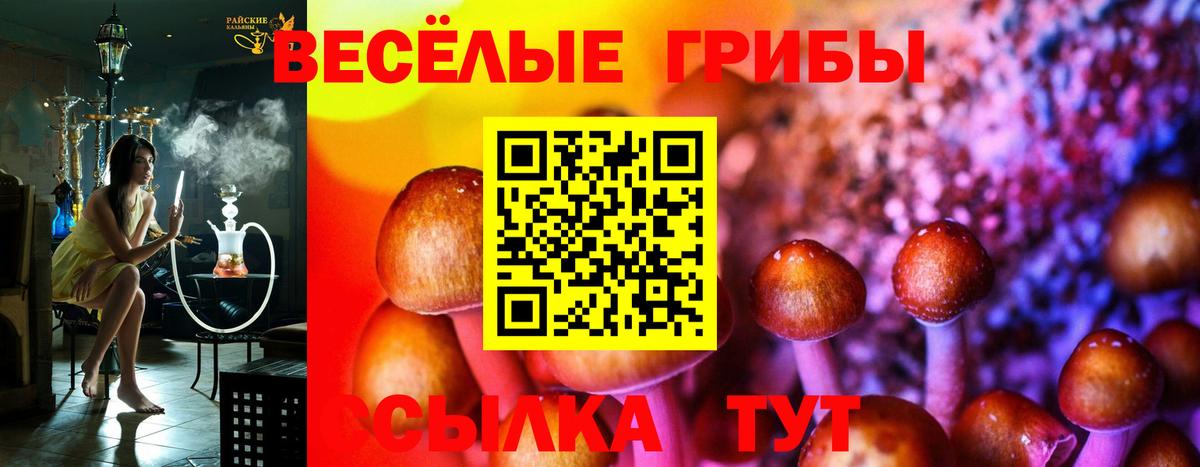 Псилоцибиновые грибы GOLDEN TEACHER  Вход с VPN  продажа наркотиков  Воскресенск 